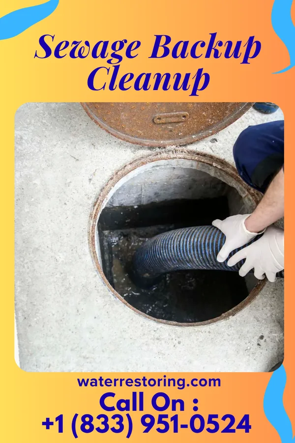 Sewage Backup Cleanup in Gilbert, IA
